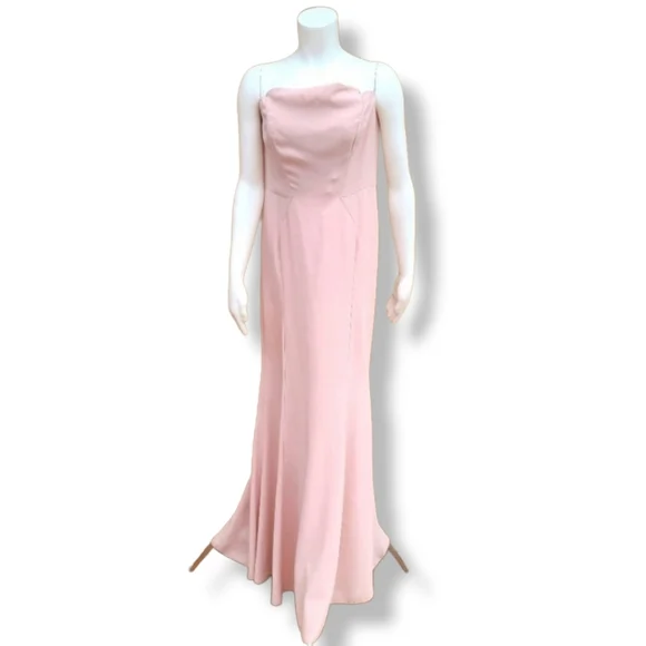 JILL STUART Academy Pink Strapless Floor Length Gown 12 Wedding Formal Dress - Picture 16 of 16